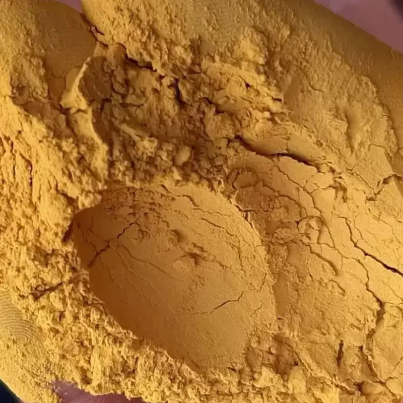 گل ماشی ابوموسی